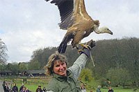 Gieren tijdens de roofvogelshow