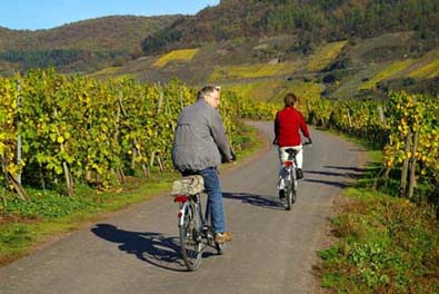 Wandelen en fietsen langs de Moezel