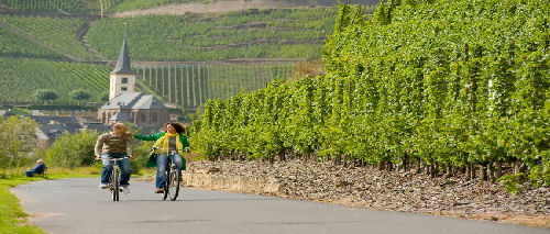 Een fietsvakantie langs de Moezel 