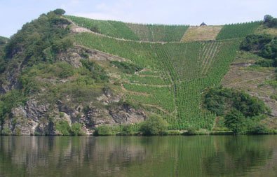Niederfell 