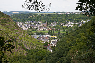 Niederfell aan de Moezel