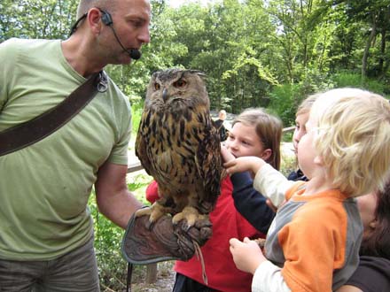 Uil tijdens show in Saarburg