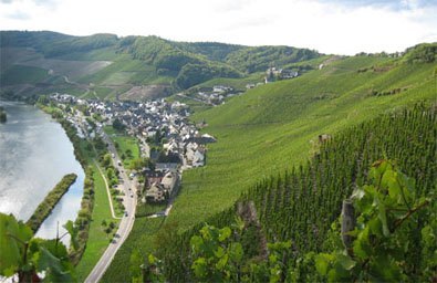 Ürzig aan de Moezel