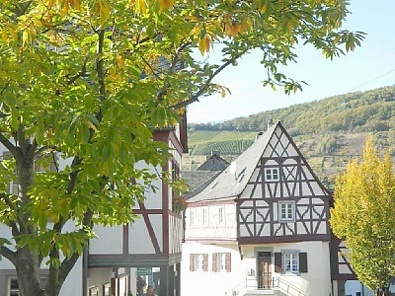 Wintrich
